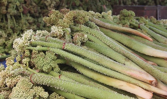 "Yayla Muzu" tezgâhlardaki yerini aldı