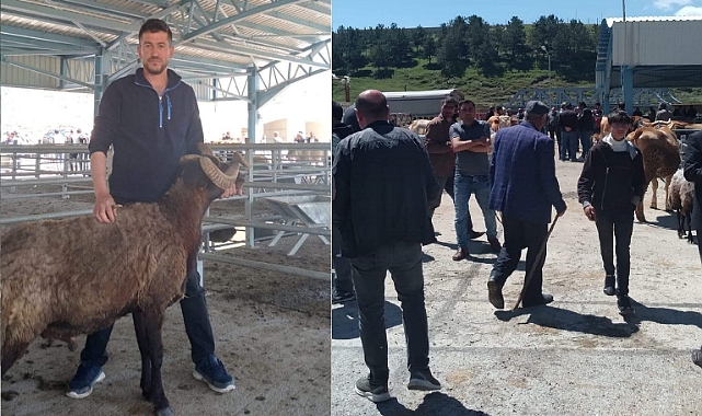 Sarıkamış hayvan pazarında alıcıdan çok seyirci dikkat çekiyor