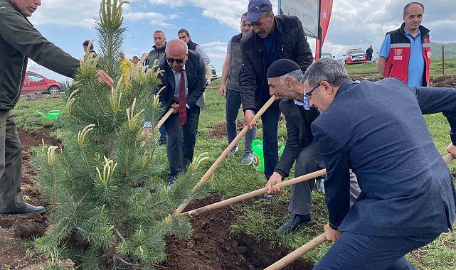 Şehidin hatırasına bin ağaç