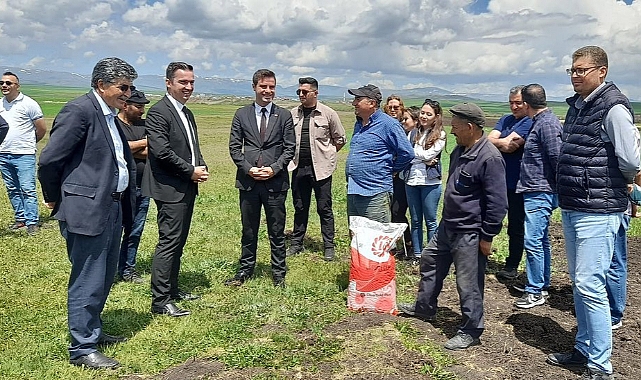 Selim'de yağlık ayçiçeği ekilmeye başladı