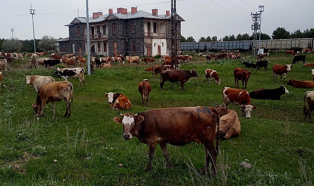 Tarih, doğa, ulaşım iç içe
