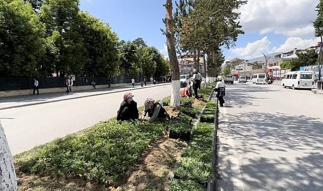 Tatvan kadın eliyle güzelleşiyor