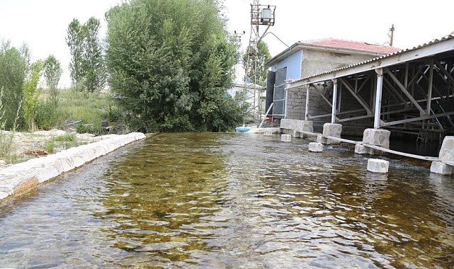 Van, ucuz suda 2'nci sırada