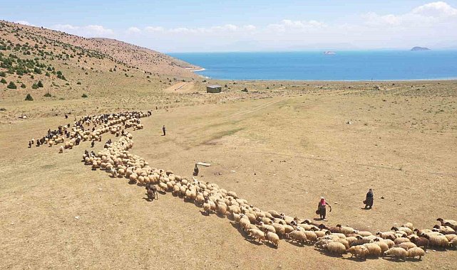 Van'da yaylaya güneş enerjisiyle su ulaştırıldı