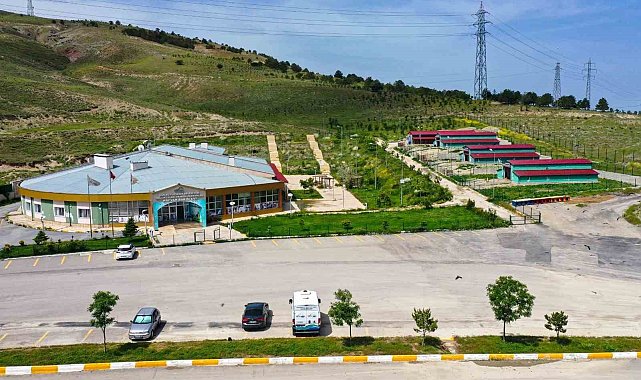 Van'daki barınak sokak hayvanlarına şifa dağıtıyor