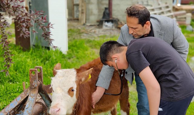 Veteriner hekim olmak isteyen çocuklar meslek hakkında bilgi aldı