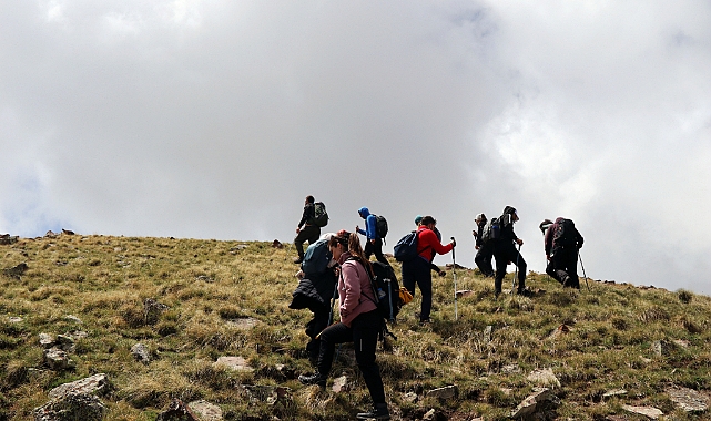 Yağışlarla yeşillenen Aras Dağları doğa tutkunlarını ağırlıyor