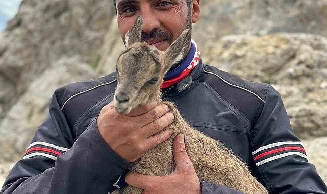 Yeni doğan yavru dağ keçisini gören motosiklet tutkunlarının heyecanı gülümsetti