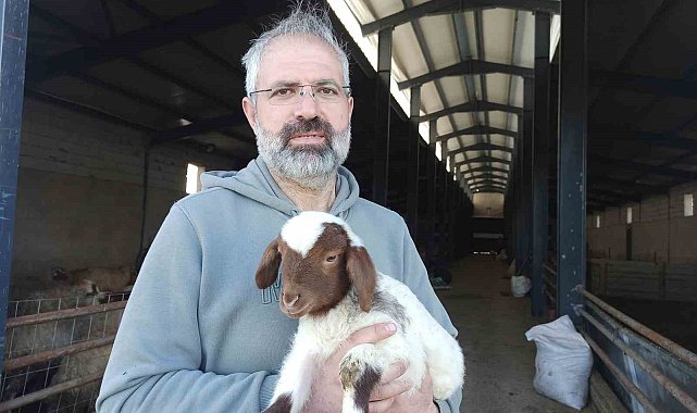 Yöneticiliği bırakıp çocukluk hayali olan küçükbaş hayvan çiftliği kurdu