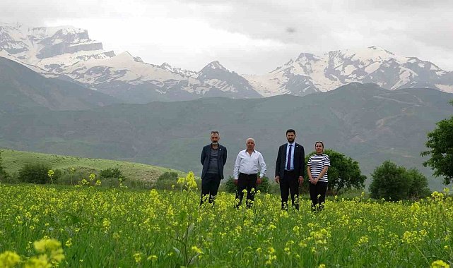 Yüksekova'da 2 mevsim bir arada