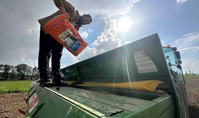 Yüksekova'da ayçiçeği ekimi