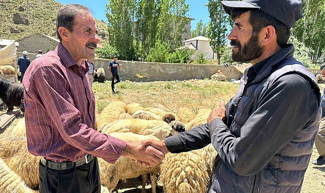 Yüksekova'da kurbanlık satışları devam ediyor