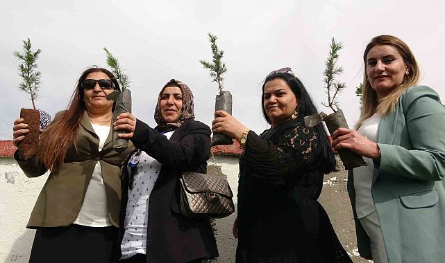 Yüksekovalı 100 kadın, 100 fidan dikti