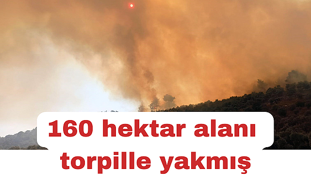 160 hektar alanı torpille yakmış