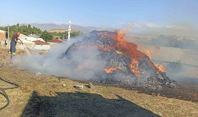 Ağrı'da bir bahçe küle döndü