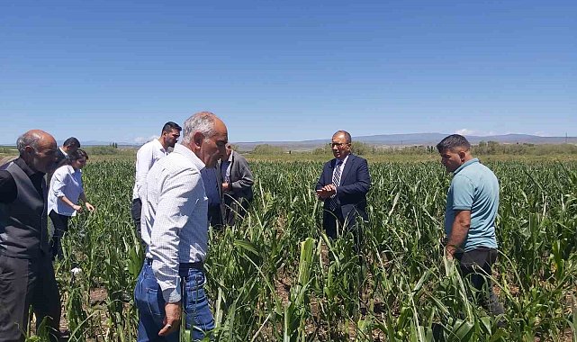 Akyaka'da ekili arazilerde hasar tespit çalışmaları sürüyor