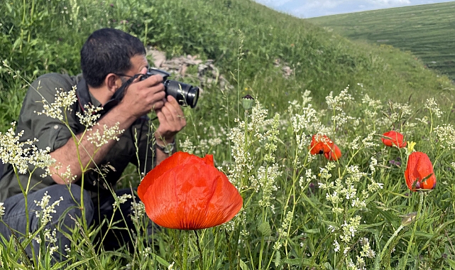 Ardahan'da doğa yağmurlar sonrası renklendi