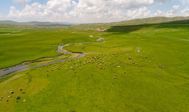 Ardahan'da menderesler havadan görüntülendi