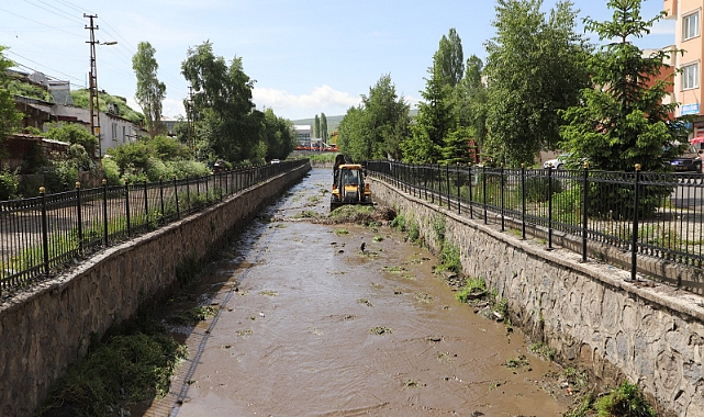 Ardahan'da yeniden alabalık yaşamı oluşması için dereden kamyonlarca çöp ve balçık çıkarıldı