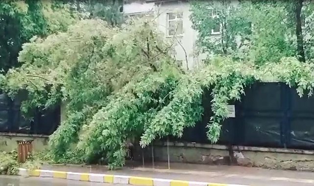 Ardahan'da yıldırım çarpması sonucu bir çocuk öldü