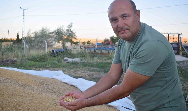 Arguvan'da buğday hasadında sona gelindi
