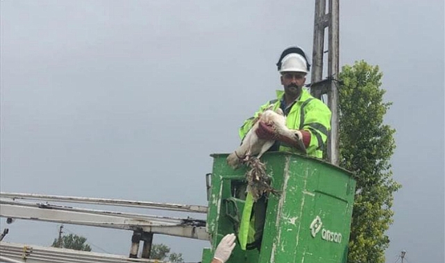 Ayağına ip dolanan leylek kurtarıldı