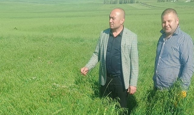 Başkan Müçük, ekili alanları inceledi
