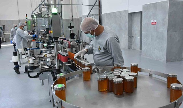 BETAV'ın bal fabrikası öğrencilere burs sağlıyor