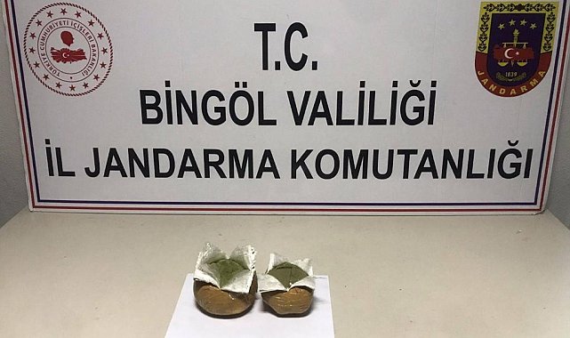 Bingöl'de 2 bin 507 kök kenevir ele geçirildi