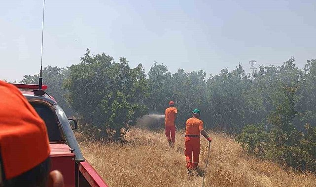 Bingöl'de çıkan orman yangını büyümeden söndürüldü