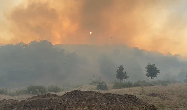 Bingöl'de iki köyde çıkan orman yangını söndürüldü