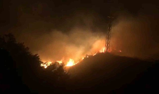 Bingöl'de orman yangını