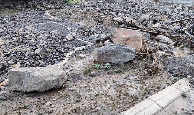 Bingöl'de sel taşkını köyü susuz bıraktı