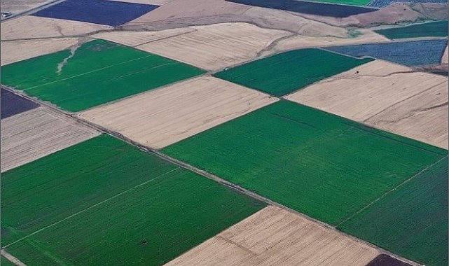 Bingöl'deki renk cümbüşü dron ile görüntülendi