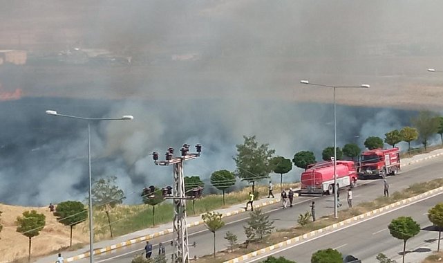 Buğday tarlası alev alev yandı