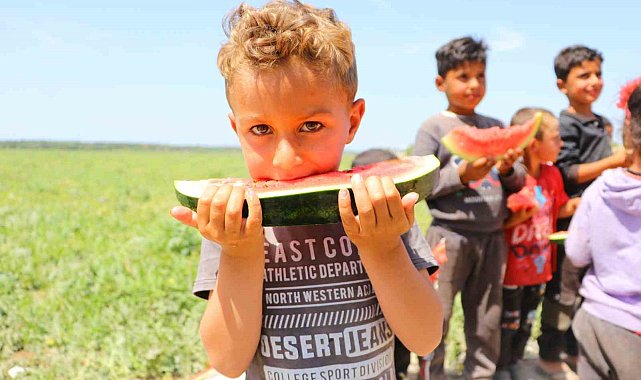 Bunaltıcı sıcaklar vatandaşı sulu meyvelere yönlendirdi