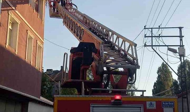 Çatıya sıkışan karga kurtarıldı