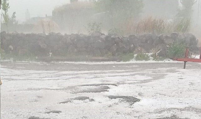 Çıldır'da dolu yağışı ekili alanlara zarar verdi