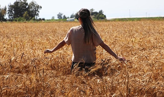 Doğu'da en yüksek sıcaklık yine Kemaliye'de ölçüldü