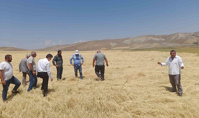 Dolu yağışı tarım arazilerine zarar verdi