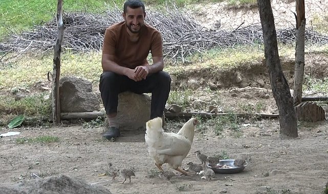 Duyarlı çobanın çabası sayesinde keklik yavruları yumurtadan çıktı