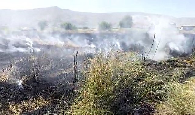 Elazığ'da 10 dönüm tarım arazisi yandı