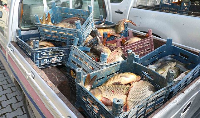 Elazığ'da ilk 6 ayda, 10 ton kaçak balık ele geçirildi