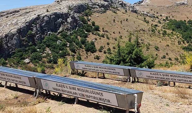 Elazığ'da yaban hayatı için su yalakları oluşturuldu
