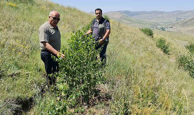 Erzurum Orman Bölge Müdürü Ayatay, Ağrı'da