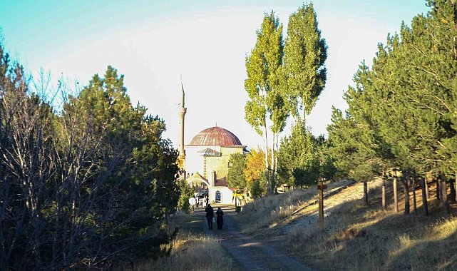 Erzurum'da ormanlık alanlara girişler yasaklandı