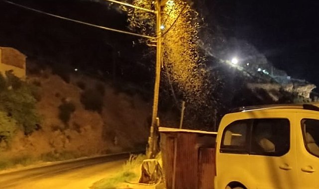 Hakkari'de sivrisinekle mücadele çalışması