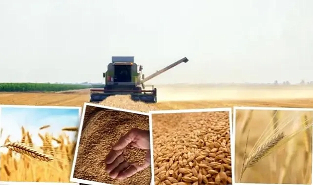 Hububat alımları 24 Temmuzda başlayacak