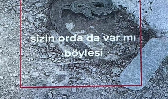 Iğdır'da engerek yılanlarını yakalayıp videosunu paylaşan çobana 5 bin 500 lira ceza