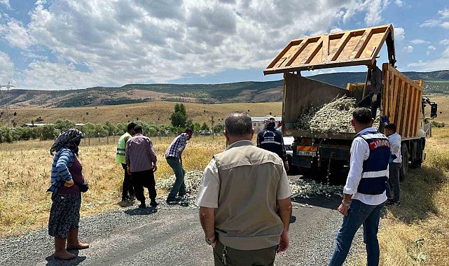 İzinsiz pamuk dikeni toplayan şahsa 244 bin lira para cezası